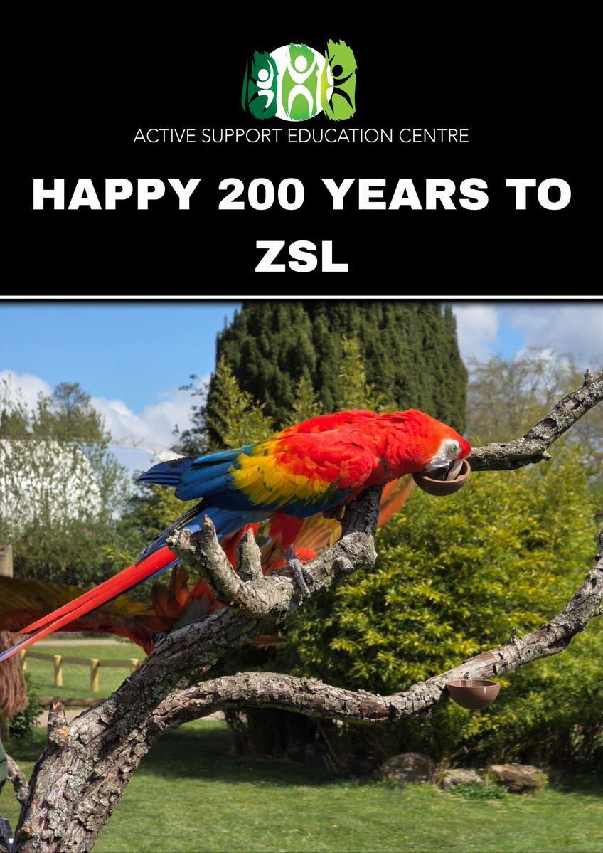 ASECLuton's tweet image. 🌿 Happy 200th Birthday ZSL! 🌿

Our students had an unforgettable visit to ZSL Zoo.

To mark 200 years of ZSL, we’re proud to be part of this global celebration and to support the vital work ZSL do for wildlife around the world  @officialzsl

#ZSL200 #wildlifeeducation #luton