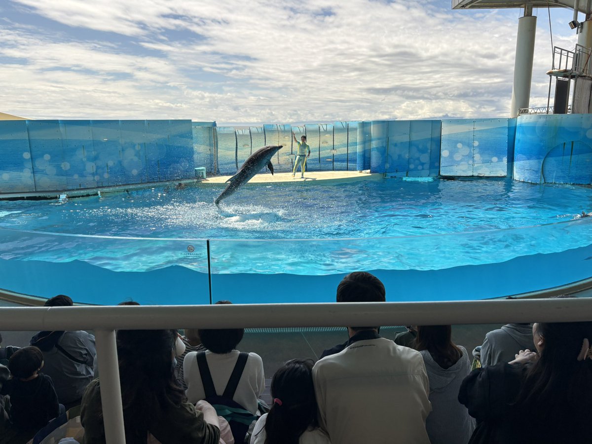 うさぎりんご tweet media