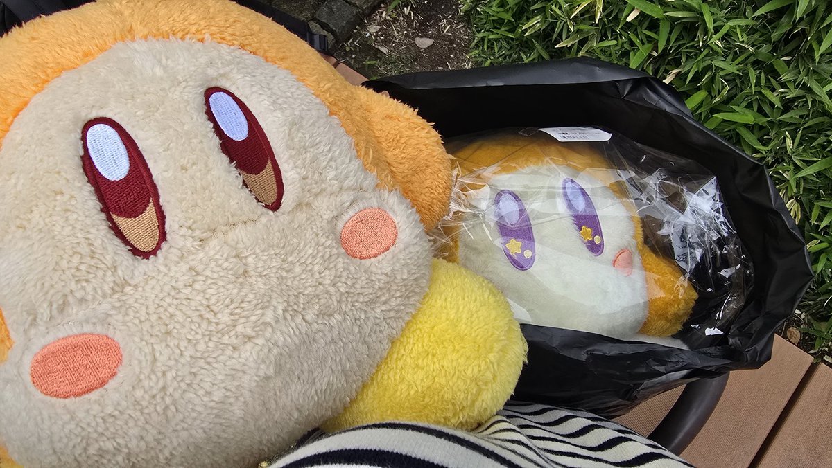 今日はアギトを見に行って来ました！

気がついたらワドちもお迎えしてましたㅇ( ◝ ◜ ㅇ )