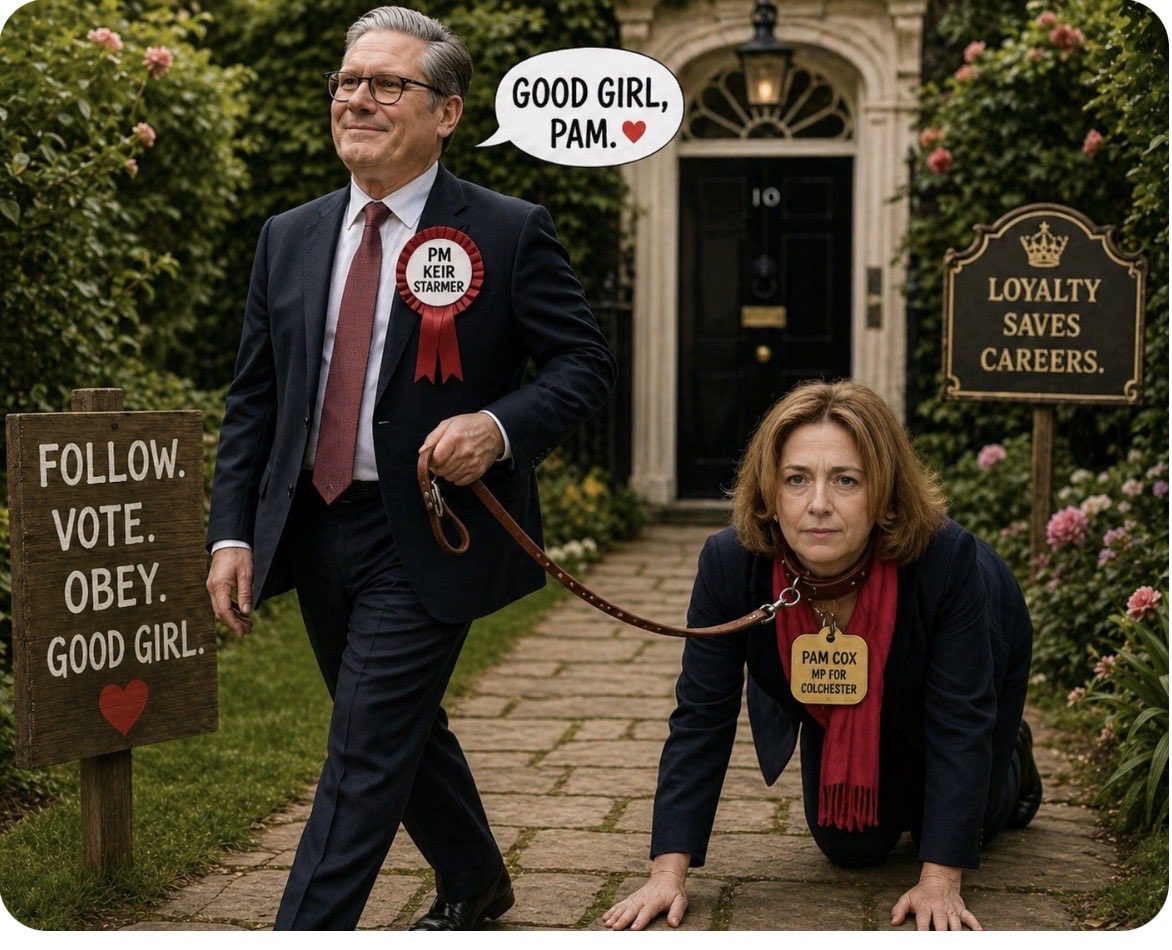 Colchesterviews's tweet image. #Colchester MP Pam Cox snapped with the PM this morning g after voting to stop him being scrutinised. Well done Pam, up the greasy pole you shall go. Shameful from Labour. The members from @ColchesterLab must be delighted as they go into local elections!?