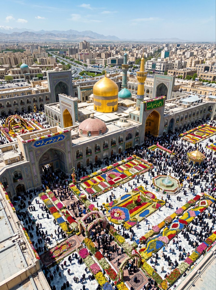 سید میلاد tweet media