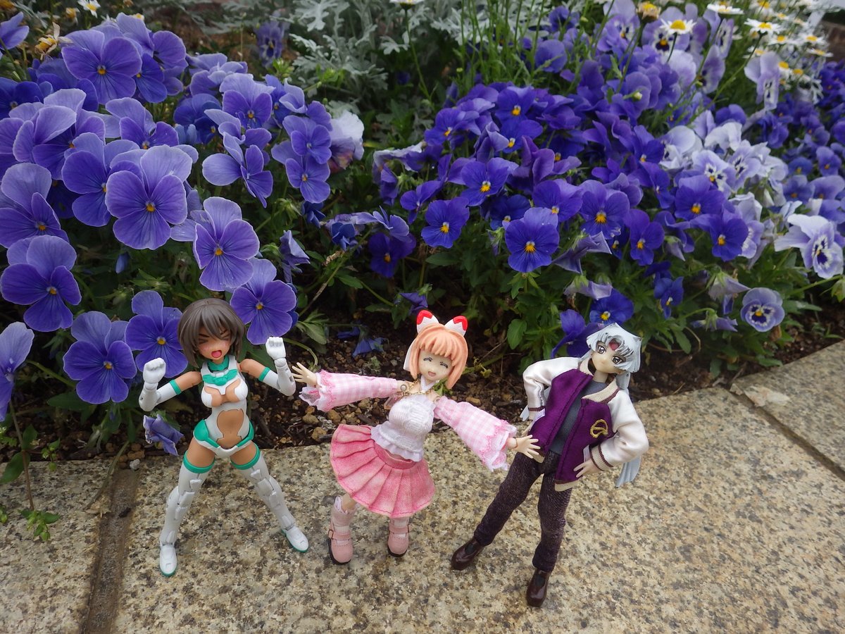 翠騎（すいき） tweet media