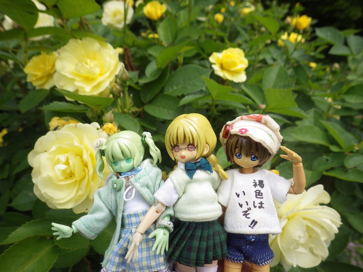 翠騎（すいき） tweet media