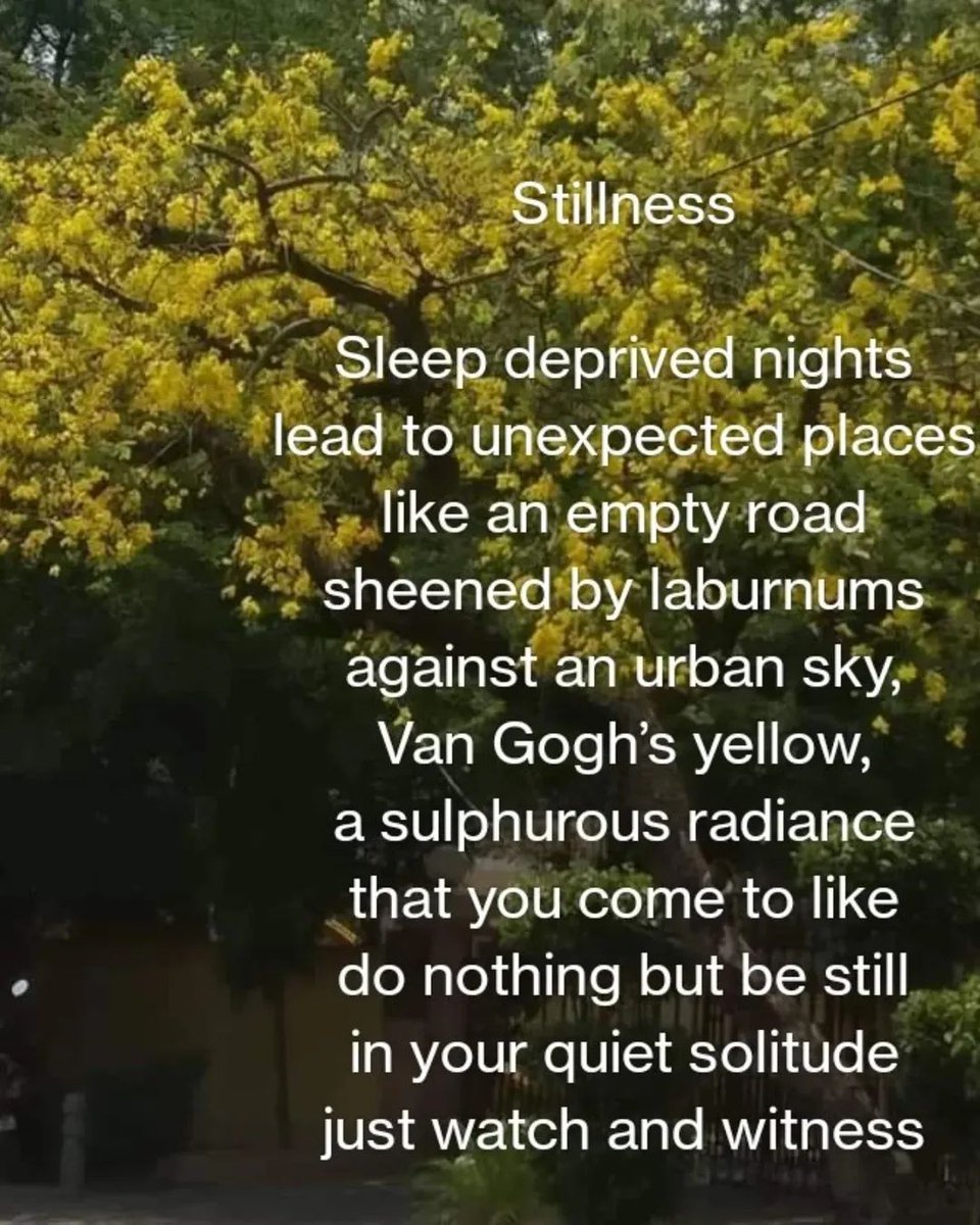 tikulli's tweet photo. A poem, a tree, a city and its built heritage and a watercolor painting. DM if you wish to purchase this original work. The poem is from a collection of Amaltas Poems. Do Share. #Delhi #TreesofDelhi #DelhiTrees #artforsale #ArtLovers https://t.co/h4r2NBhrVo
