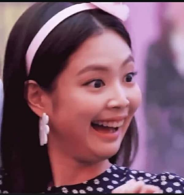 Interior Crocodile Alligator tweet media