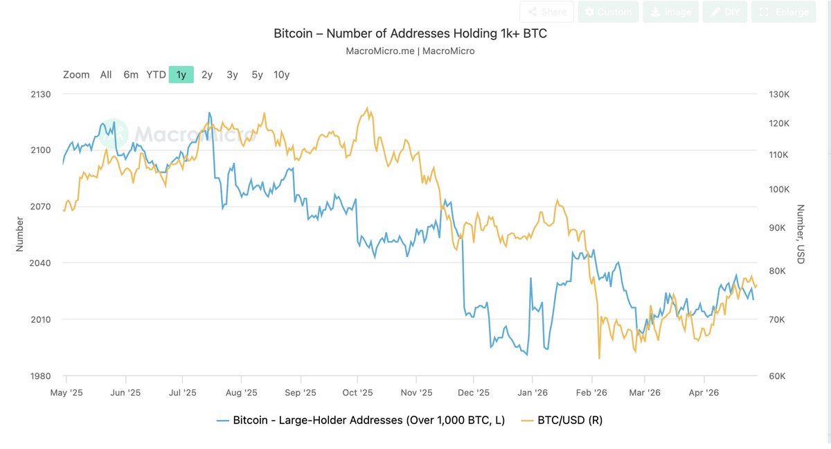 Bitfinex tweet media