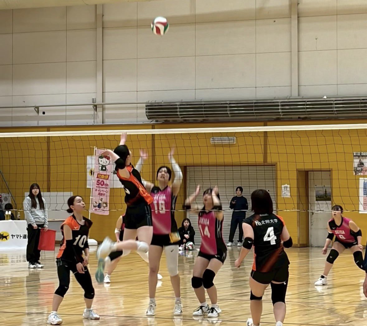 hokusho_WVB's tweet photo. 春リーグ4日目
⁡
vs星槎道都大学
3-2で勝利しました‼️
応援ありがとうございました📣
⁡
本日の試合はヤマト運輸様よりMIP賞として
 #3 山家すずが選ばれました🌟

来週もインスタライブ配信します！
応援よろしくお願いします🙌
⁡
 #株式会社シンファート
 #SunRiver
 #KTCグループ https://t.co/q1fZCA25jV