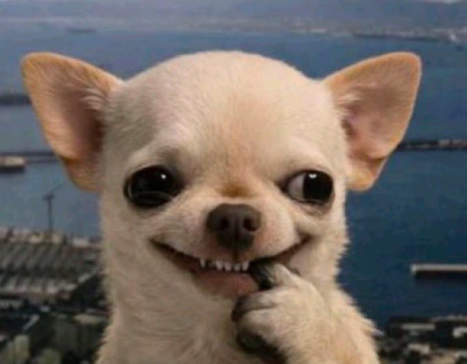 𝐗𝐭𝐫𝐮𝐦 tweet media