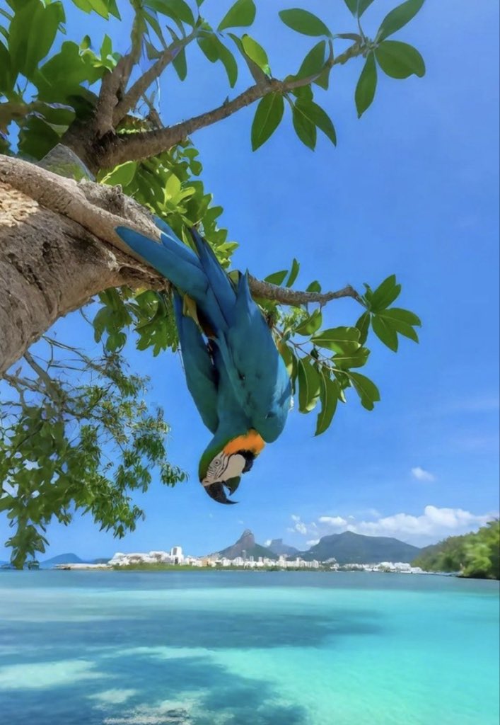 Mark Trader tweet media