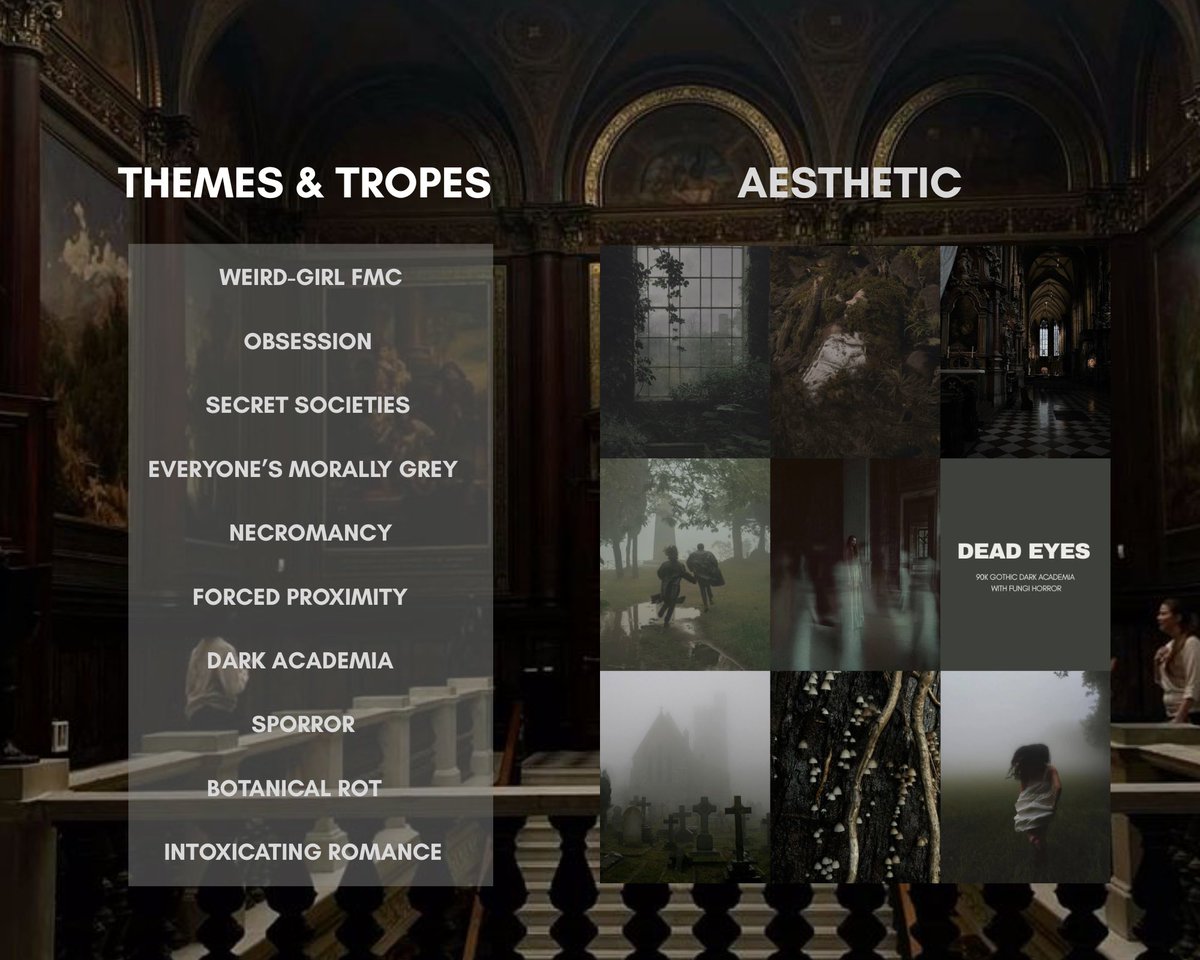 JD is querying tweet media