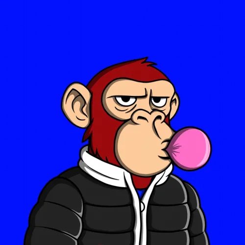 mrmoneysp's tweet photo. Gm NAAC!  @NotMoreApesClub 💙

Don't forget to pick a NAAC off the floor. Have a beautiful day.💙 https://t.co/lGxXbdV732