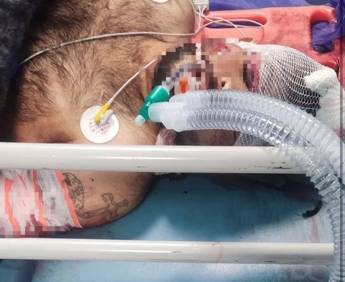 Nastaran tweet media