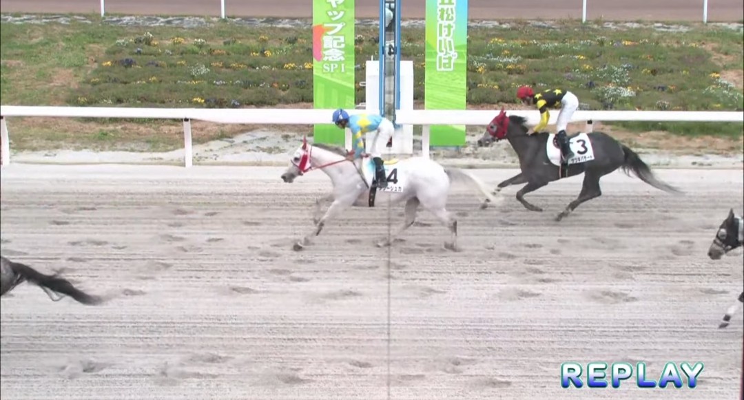 花だい tweet media