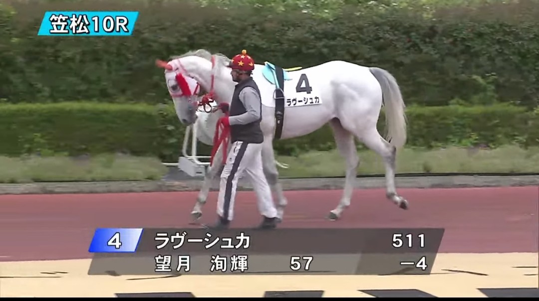 花だい tweet media