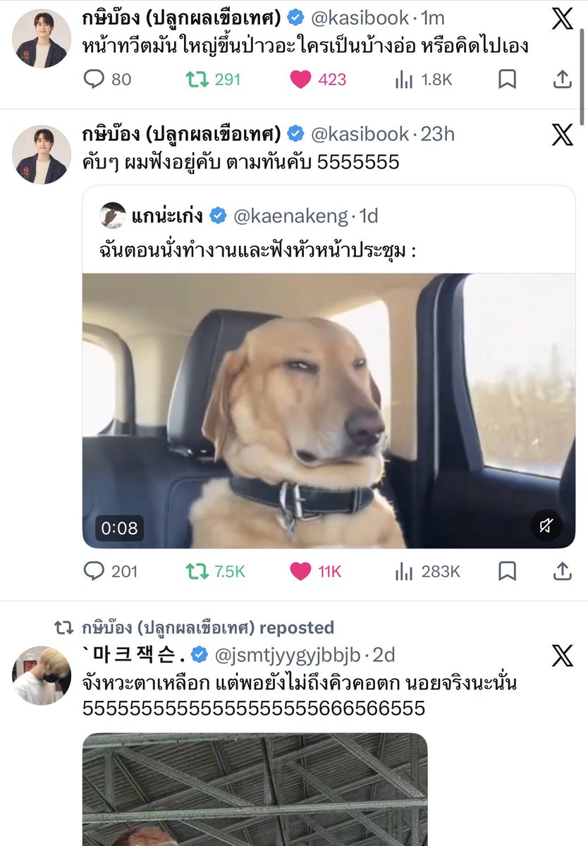 Llamunswiftie13 tweet media