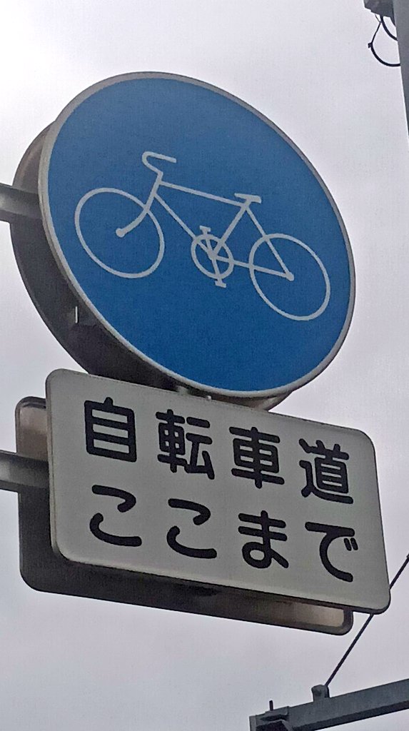 かねだすすむ tweet media