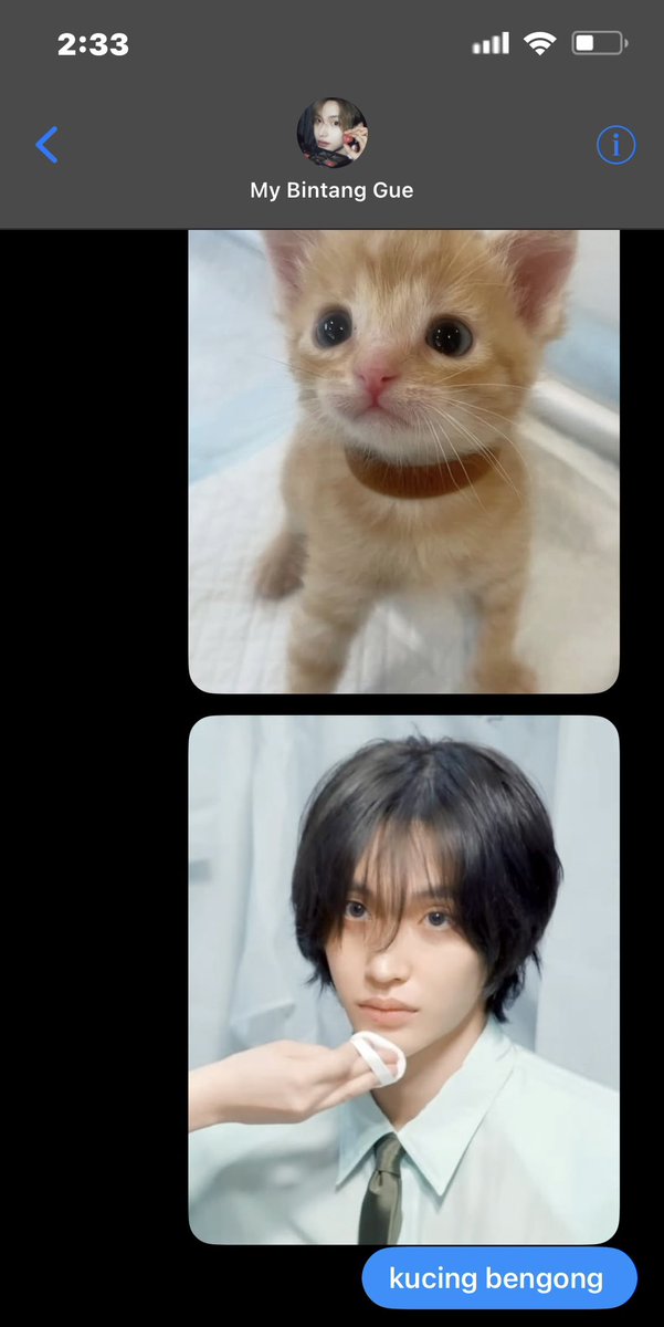 liz | au📌 tweet media