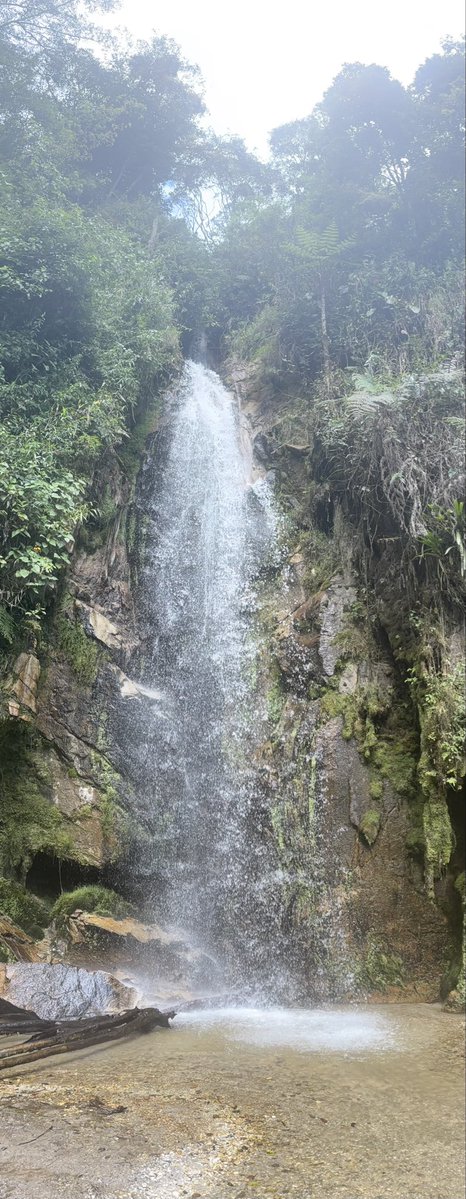 maoherrera7's tweet image. ‘Panorama’ #DailyPictureTheme. @PanoPhotos. #Waterfall #Vertorama.