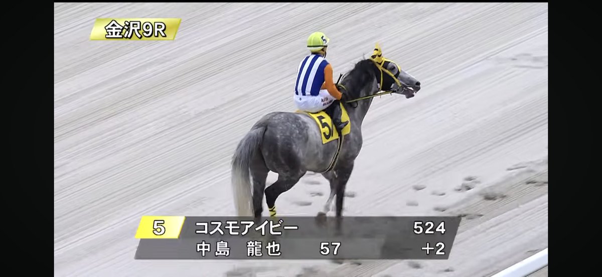 ぽんちゃん tweet media