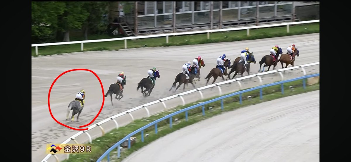 ぽんちゃん tweet media