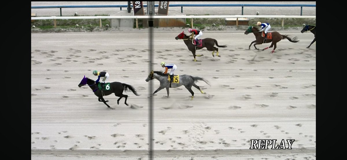 ぽんちゃん tweet media