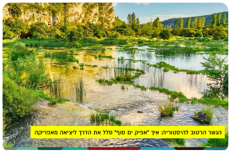 בוגרי העברית | HUJI Alumni tweet media