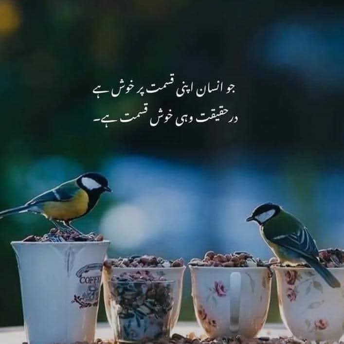 کھری باتیں 🇵🇰 پاکستان زندہ باد tweet media