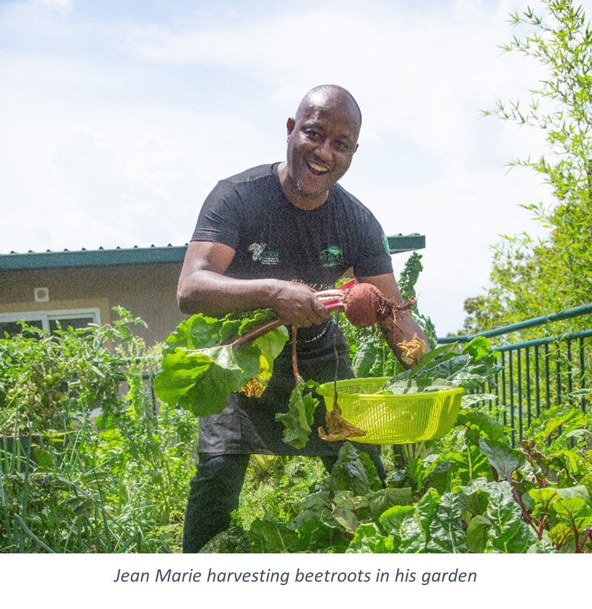 Knowledge Hub for Organic Agriculture inEastAfrica tweet media