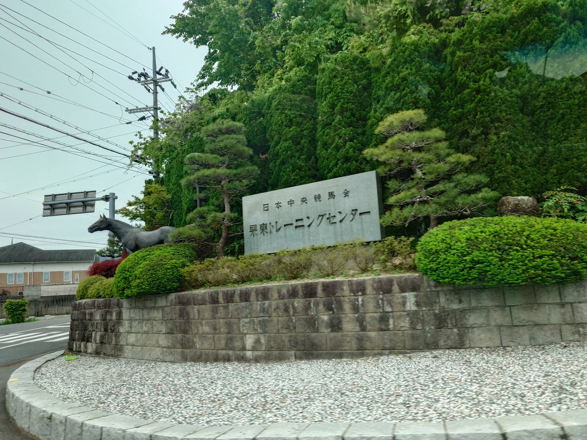 さんとす tweet media