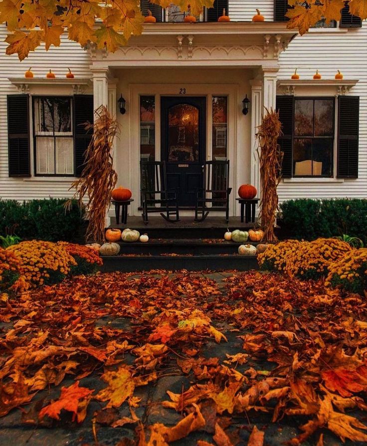 ☾ִ ࣪𖤐 🔮⋆🎃 ⛧°｡⋆👻🍑 Braah tweet media