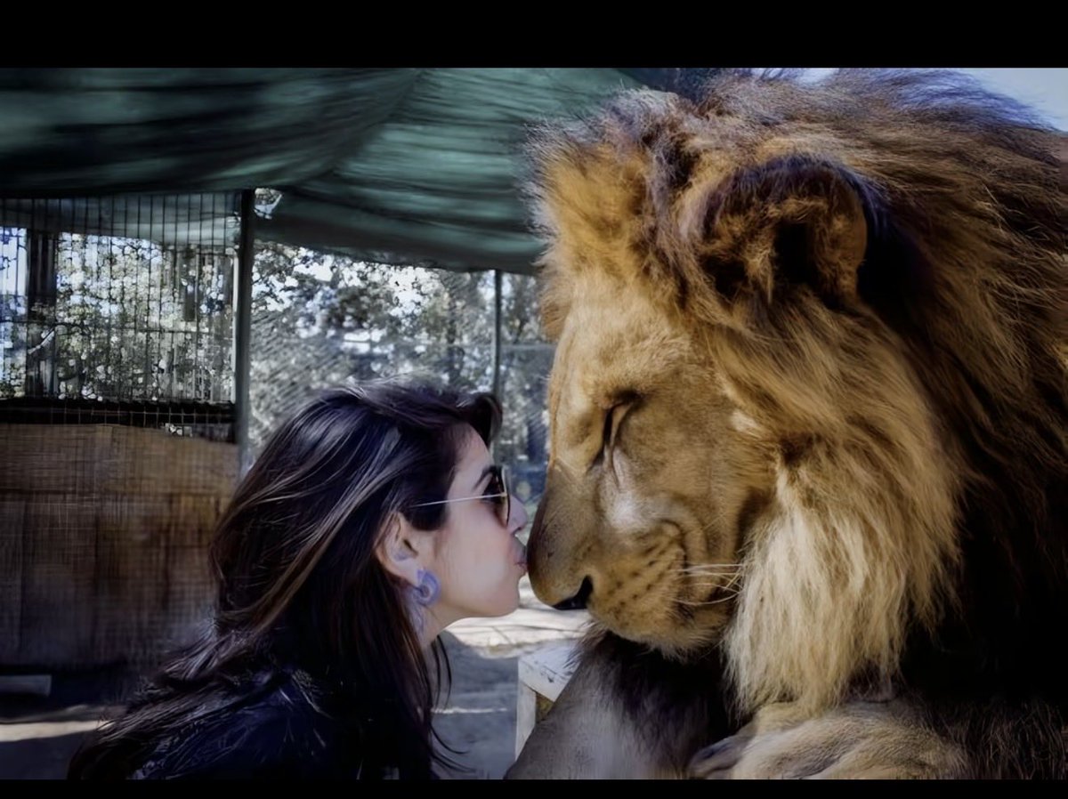 u r gonna learn tweet media