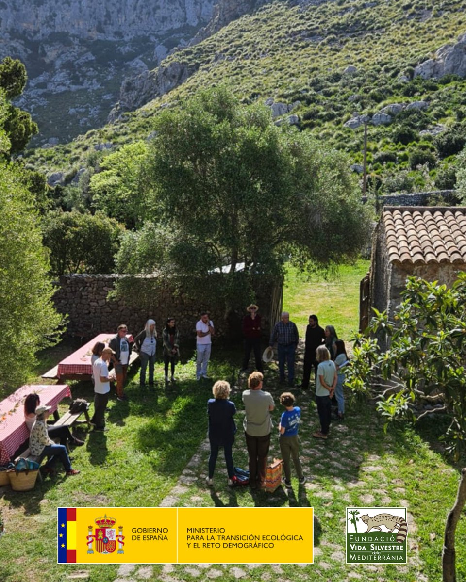 FVSM4's tweet photo. Custodia del territorio. ¡La Serra de Tramuntana late con fuerza! 🌱

El pasado 25/04, nos reunimos con propietarios de fincas de la Sierra Norte para compartir retos y soluciones sostenibles. No solo hablamos de conservación. ¡Saboreamos el territorio con sus productos locales! https://t.co/VbR8zmV6Dh