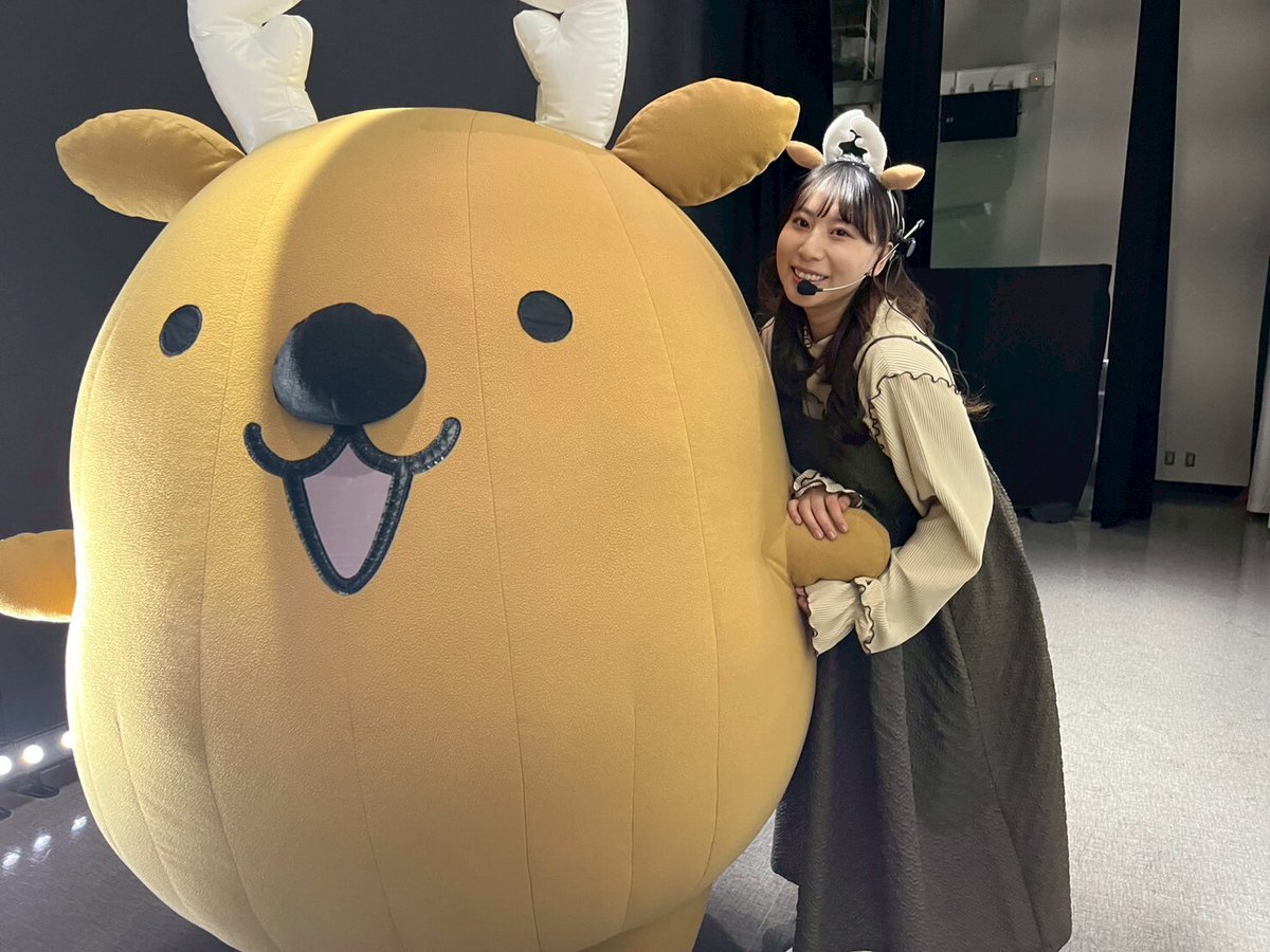 奈良わんぱくランド はしゃきっズ【公式】親子で遊ぶ！屋内型巨大エア遊具テーマパーク🎈 tweet media