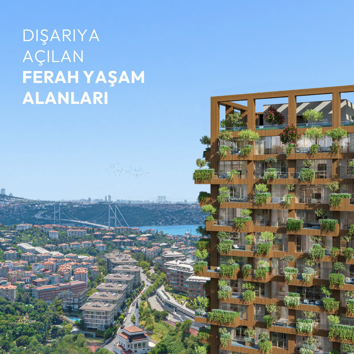 Nextlevelistnbl's tweet photo. Kompakt ve dinamik yaşamayı tercih eden iş yaşamındaki profesyoneller, çiftler ve merkezde yaşamı seçenler, aradıkları yaşam tarzını Loft Evler'de bulabilirler.

Aktif yaşamın merkezinde, doğayı içine alan bahçeli ve teraslı evler.
#sıradanevar #NextLevellstanbul #ManzaraEvler https://t.co/iv7ctNyOPN