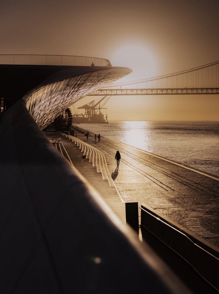 Photographers, show us a picture YOU took. No description. Just a pic. 📸