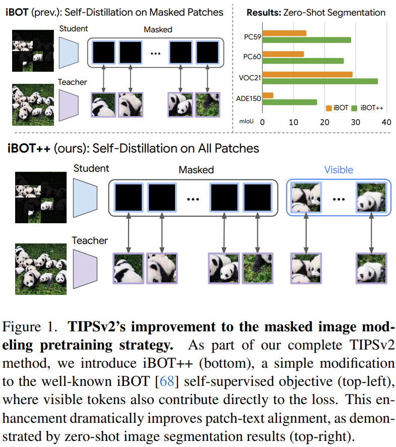 Can vision-language models truly see the fine-grained details in images?  

Google DeepMind presents TIPSv2.  

They boost dense patch-text alignment using three novel tricks: a distillation method where the student outperforms the teacher, an upgraded masked image objective