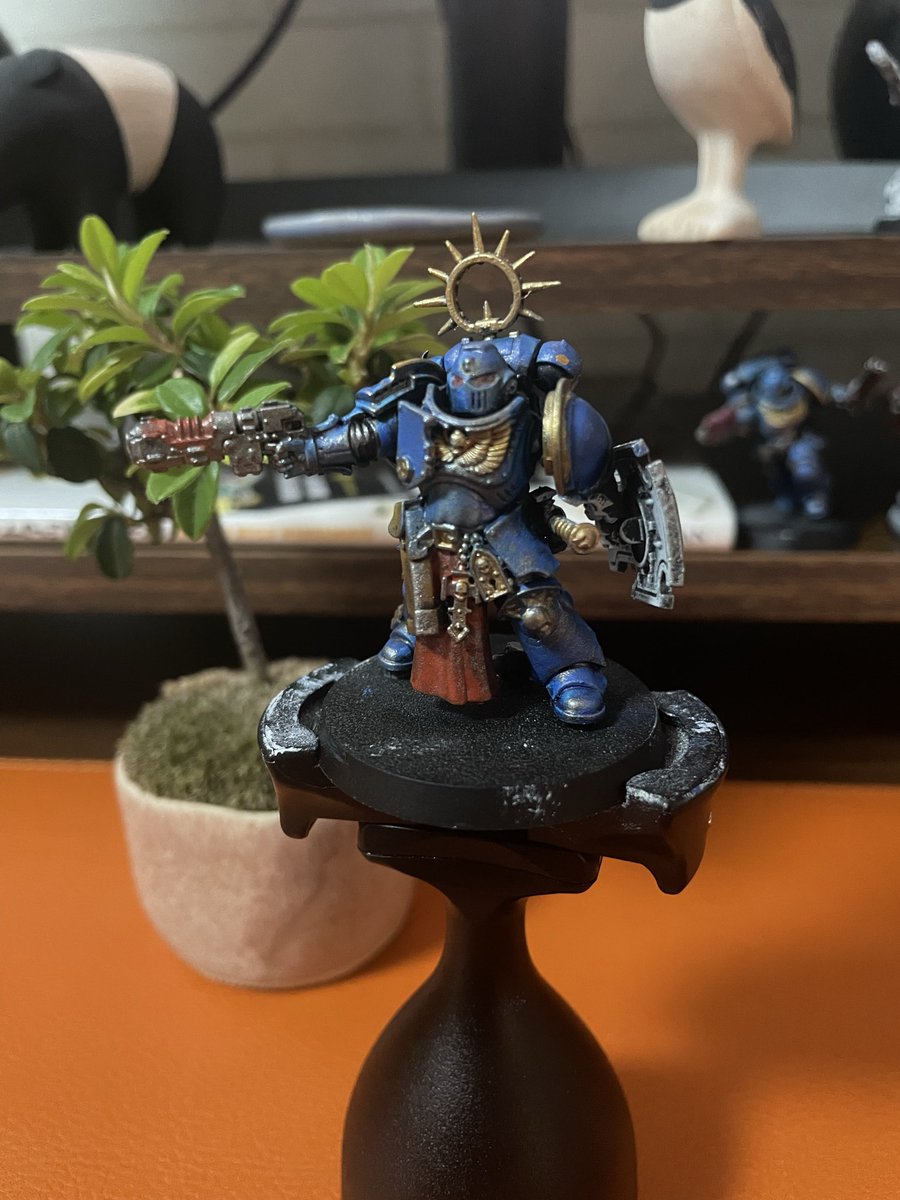 寿司うどん tweet media