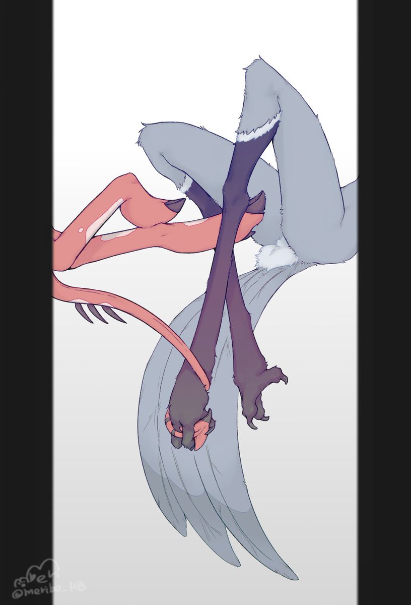 🌕️めりべ/meribe tweet media