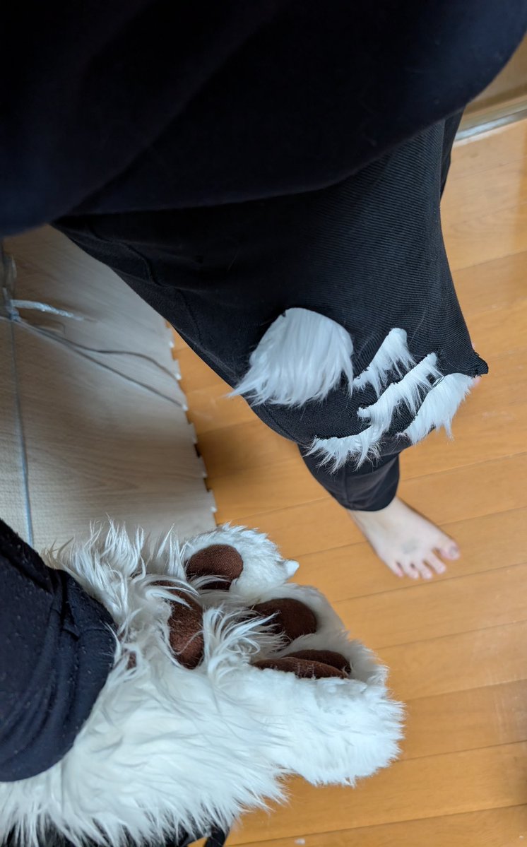 水賀（みなが）🦊🐶⏩️未定 tweet media