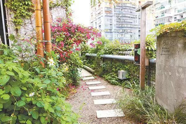xmenglish's tweet image. Once-neglected #rooftops across #Xiamen are being transformed from forgotten #spaces into dynamic urban destinations as the city pioneers a model of renewal that brings together ecological value, commercial energy, and a human touch.