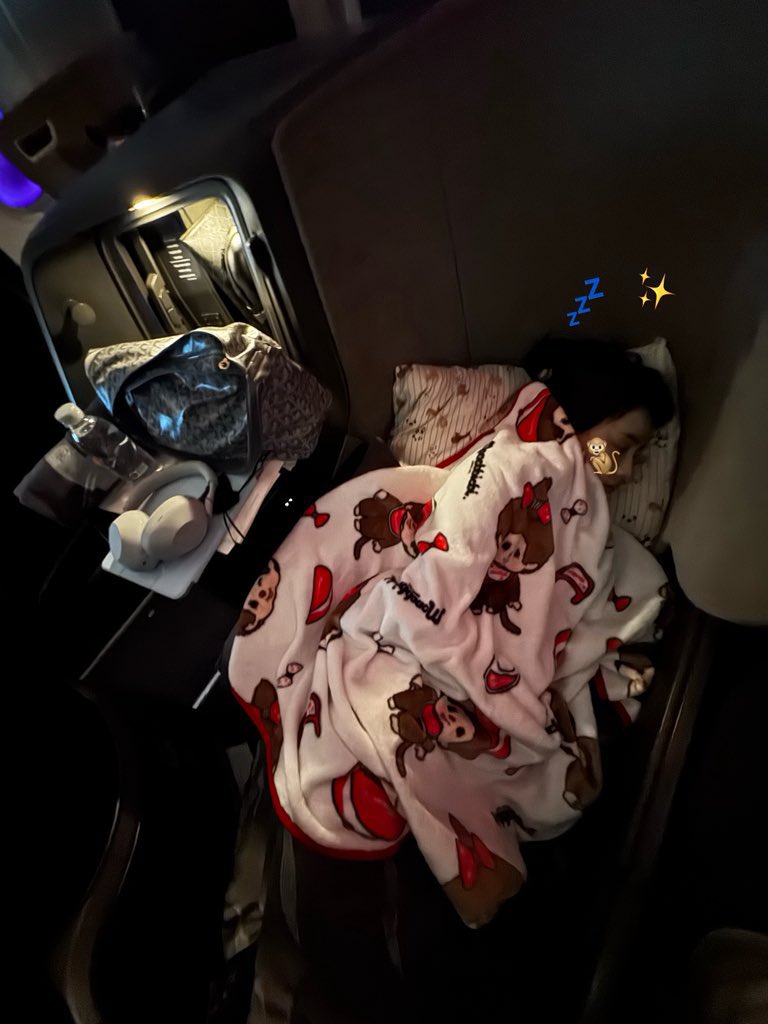 คนเลี้ยงอัลปาก้า(จ๋อง) 🌳🦙 tweet media