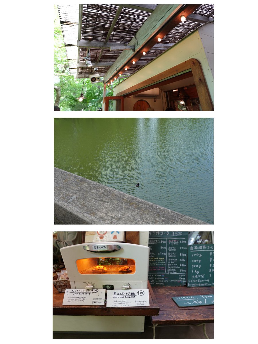 十条月 Luna Jujo tweet media