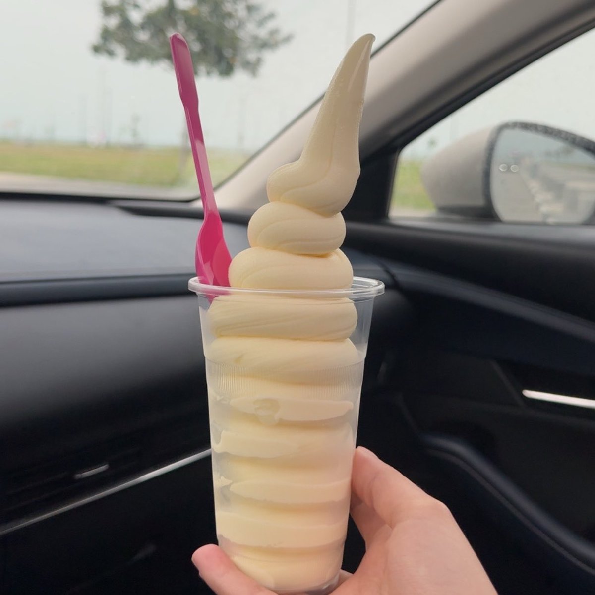 آمنه ☀︎ tweet media