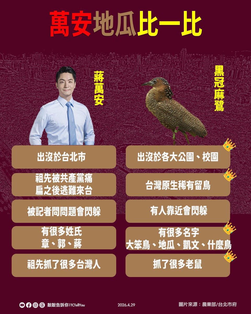 督頭 Dutall tweet media