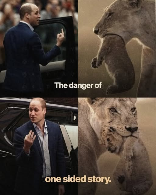 SaltyGoat tweet media