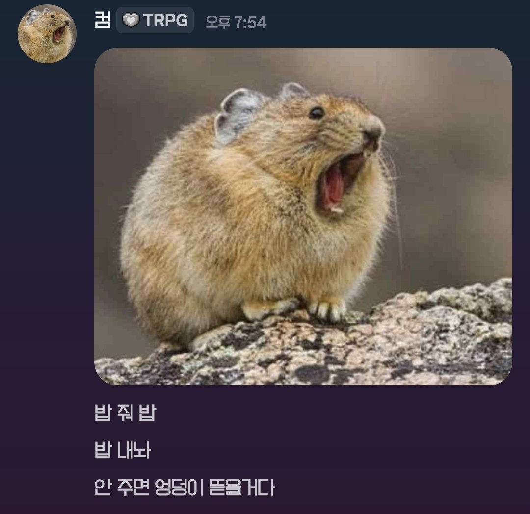 컴마 tweet media