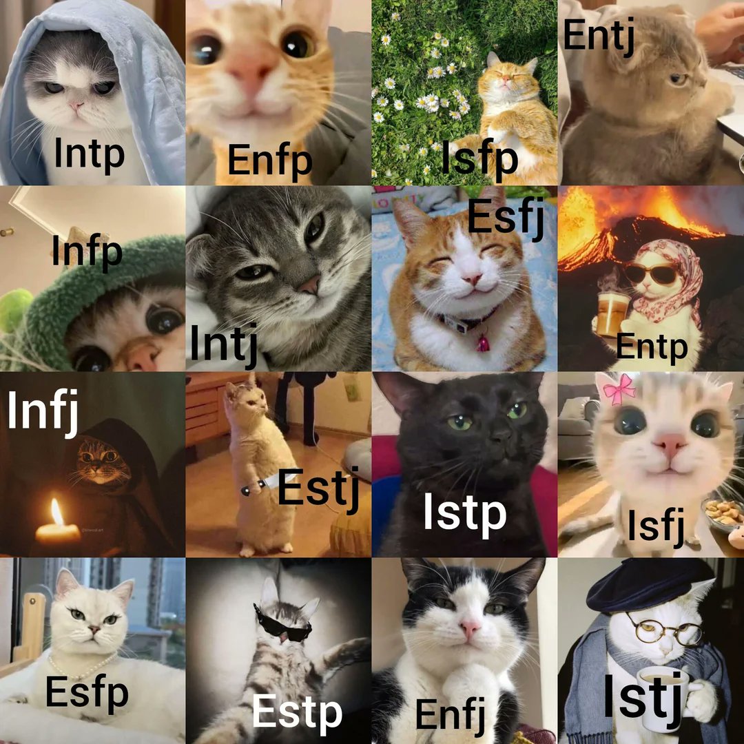 mbti memes tweet media