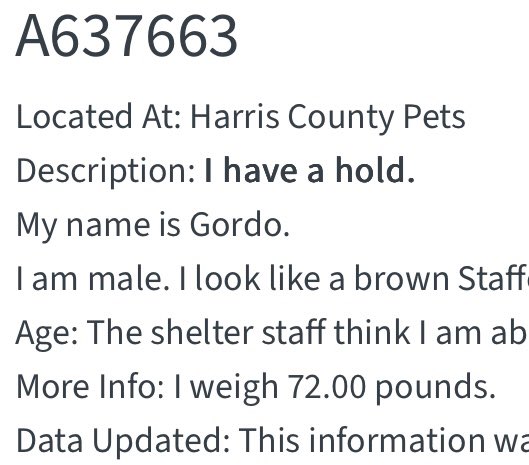 PawsnTails4TX's tweet image. 🎉💙🐾GORDO has been tagged for rescue! This sweet boy can now bark as much as he likes and truly be loved regardless of his size! Thank you everyone for giving him a second chance 🙏More details to follow as i receive them! 
Congrats GORDO 🎊🥳
Houston #TX