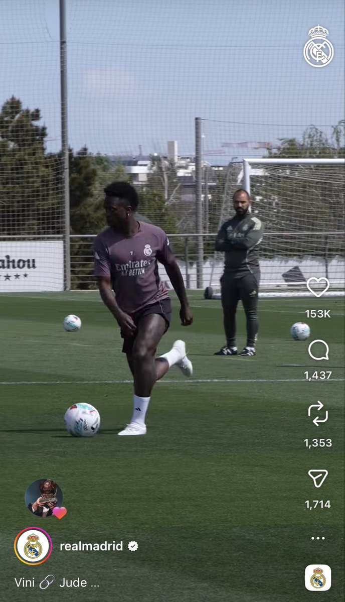VITO tweet media