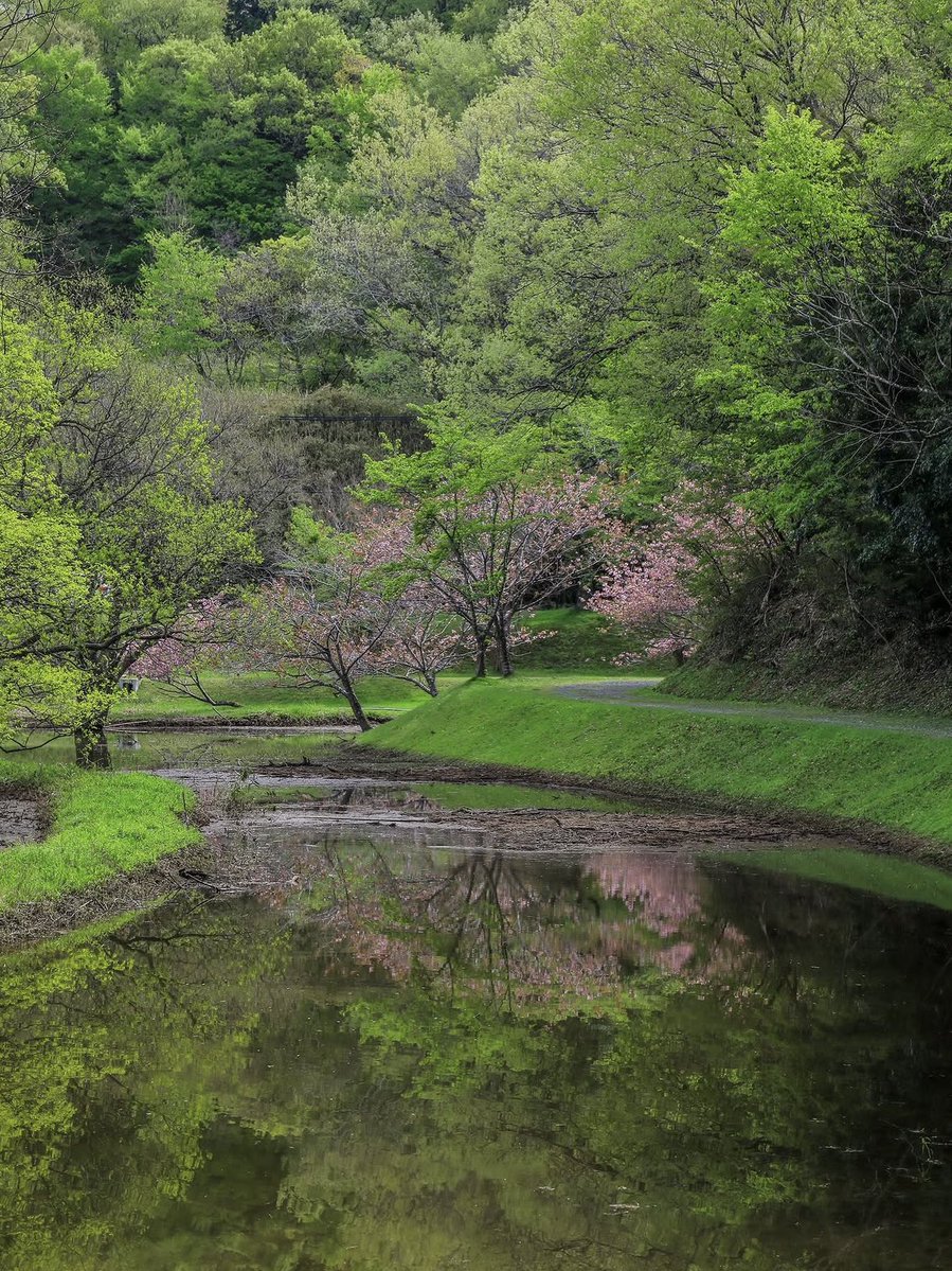 voshans's tweet image. Weerspiegeling…

(Foto Masahiko Photography) 

#Hino #Shiga #Japan

#fotografie #photography #lente
#travel #travelphotography #green
#landscape #landscapephotography
#natuur #nature #naturephotography
#bomen #trees #springtime #groen 
#reflecties #reflections #kanaal #canal